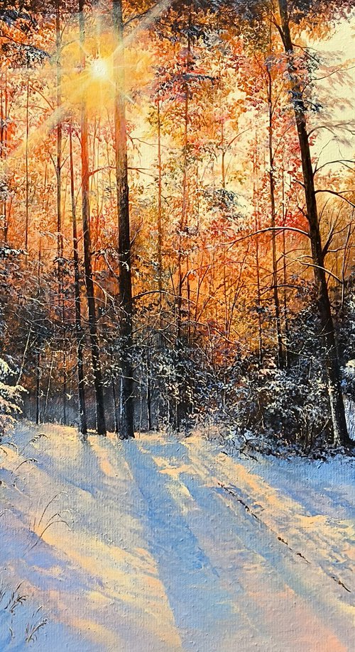 Winter’s Radiance by Sergei Miqaielyan