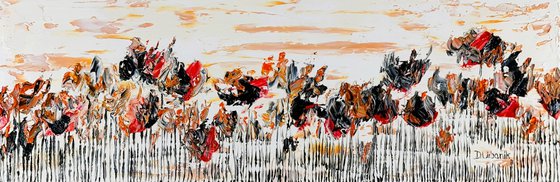 Wild Poppies 6