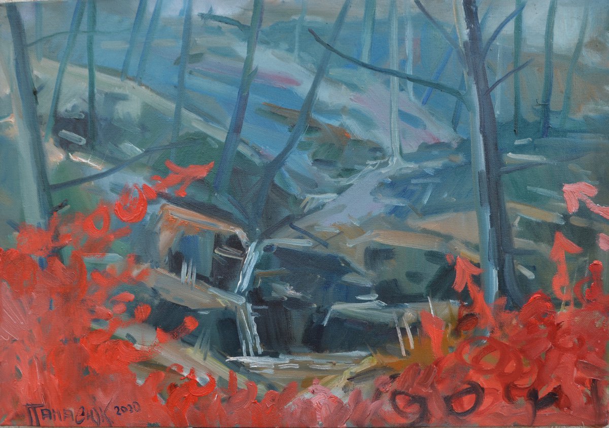 Attack of abstraction on a realistic stream in the Carpathians by Vitalii Panasiuk