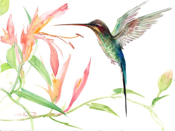 Hummingbird