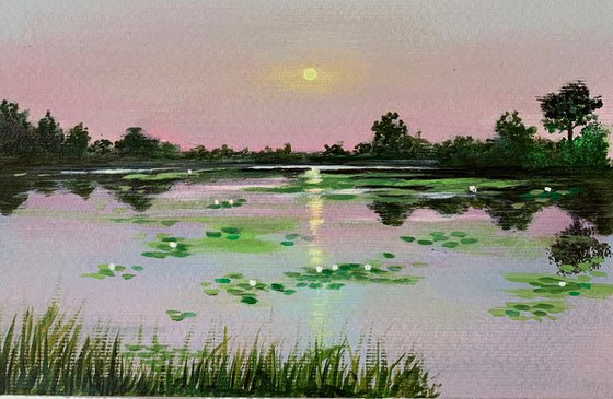 Water lily pond at pink sunset ! A4 Painting on paper