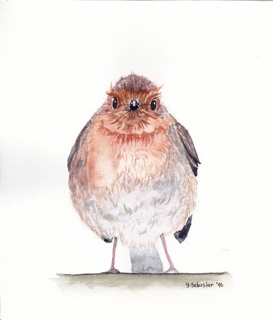 Watercolour birds portraits series. Robin Birds. Hans