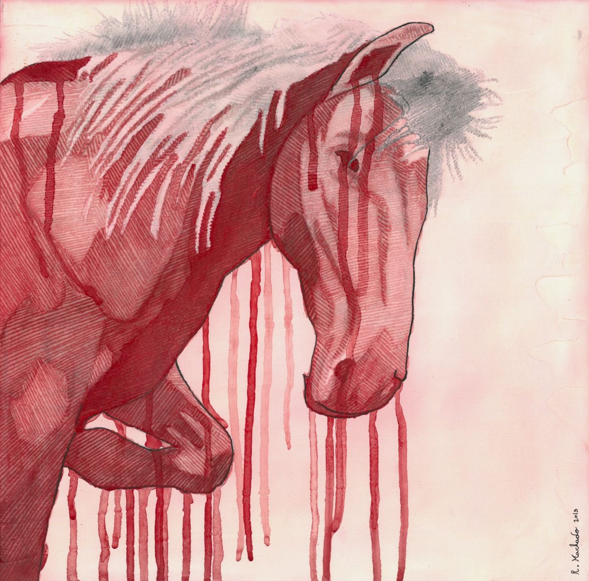 Horse by Ricardo Machado