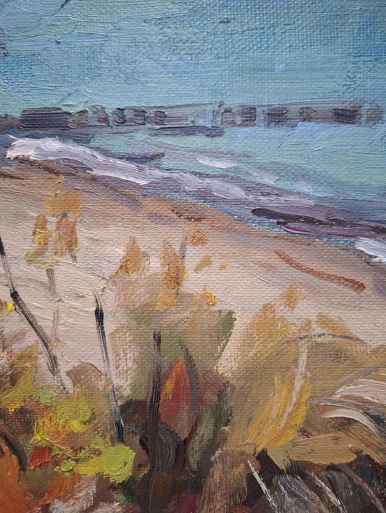 Baltic seashore