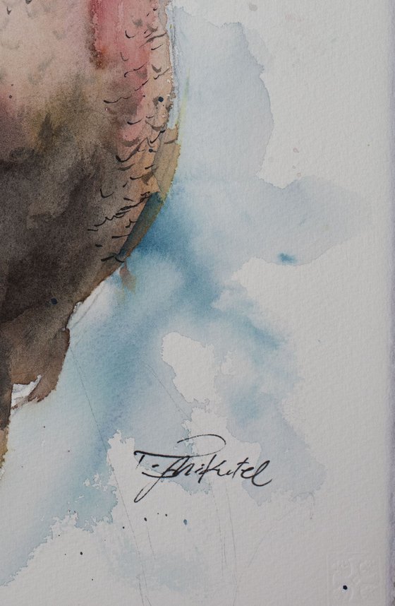 Pheasant II