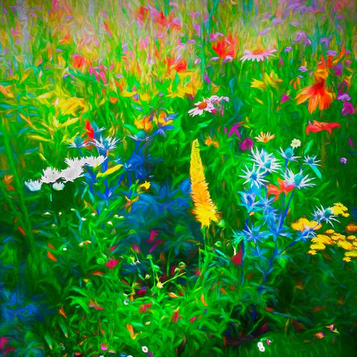Floral Border by Martin  Fry