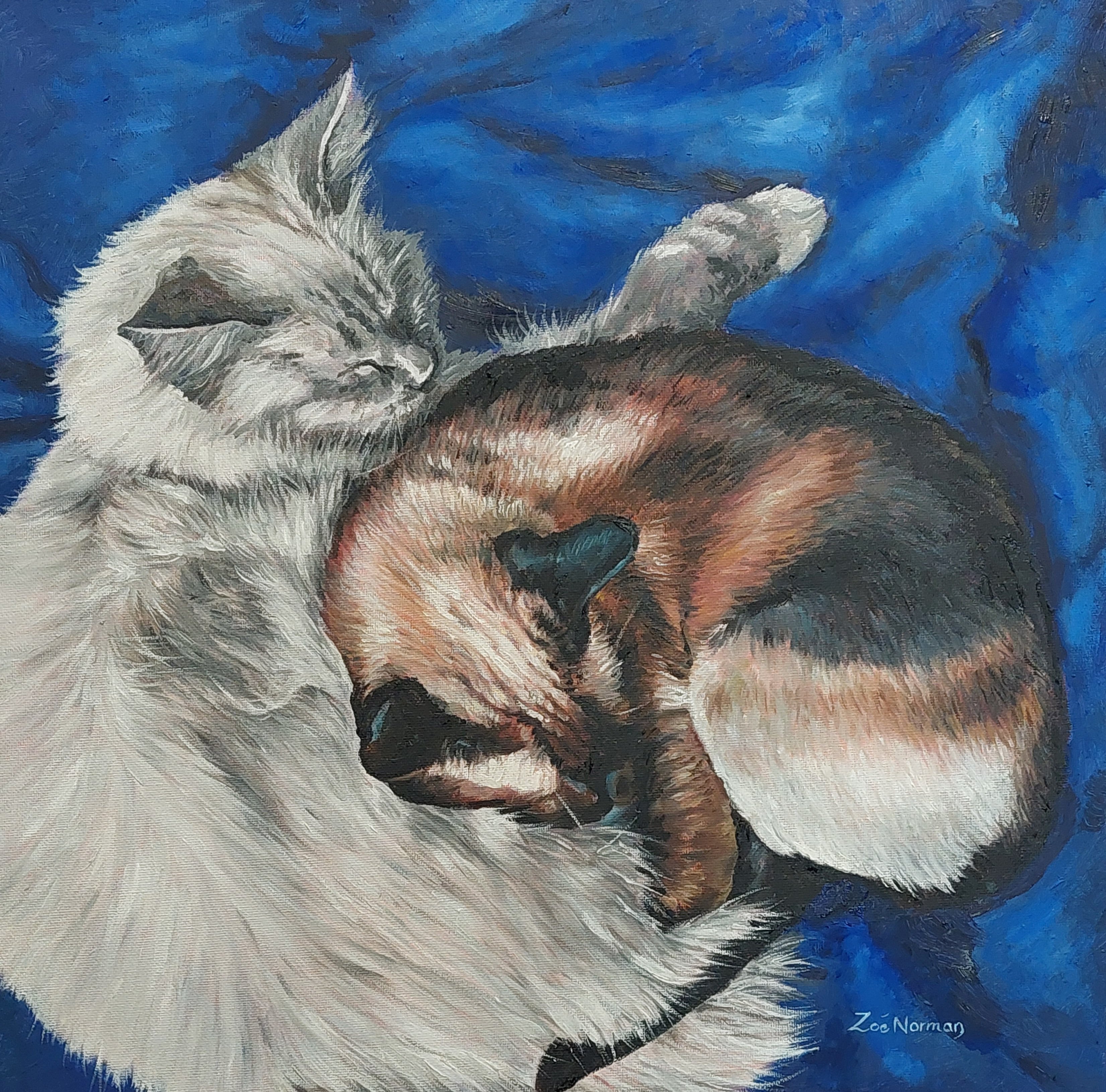 Impressionistic Animal Oil Painting By Zoe Elizabeth Norman, 16 X 16", Sleeping Cats - Siamese And Ragdoll, Original Artwork