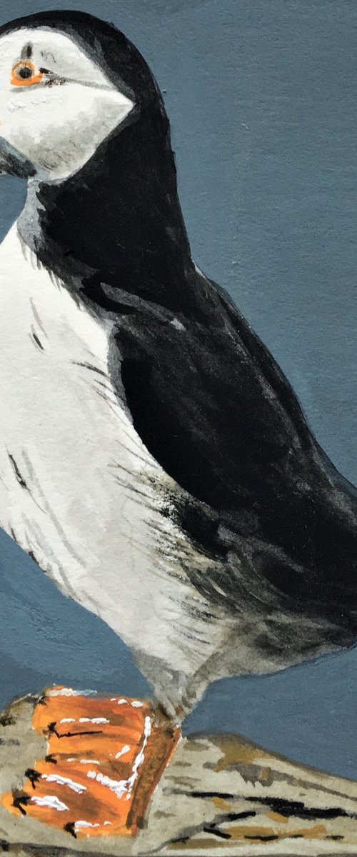 Standing Puffin #2 by Laurence Wheeler