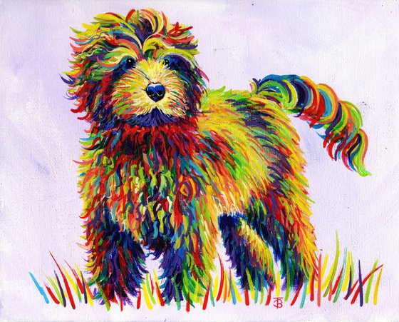 Rainbow Cockapoo