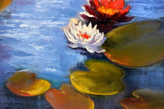The Solar Rhythm: Water Lilies