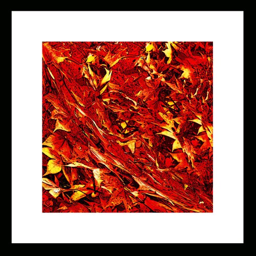 Natural Abstracts - Autumn Leaves number 2 by Ken Skehan