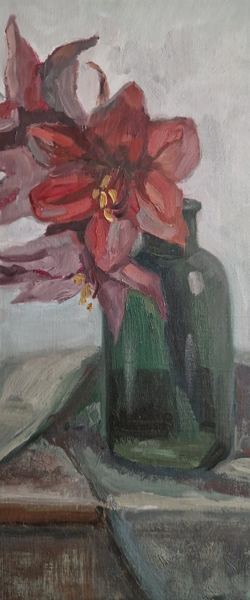 Still-life with flower "Red Amaryllis" by Olena Kolotova