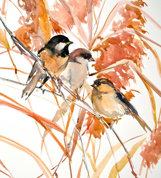 Sparrows in the Fall