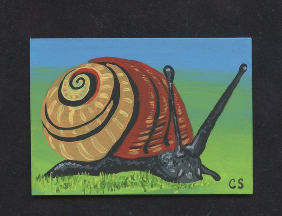 ACEO ATC Original Miniature Painting Garden Snail Wildlife Art-Carla Smale