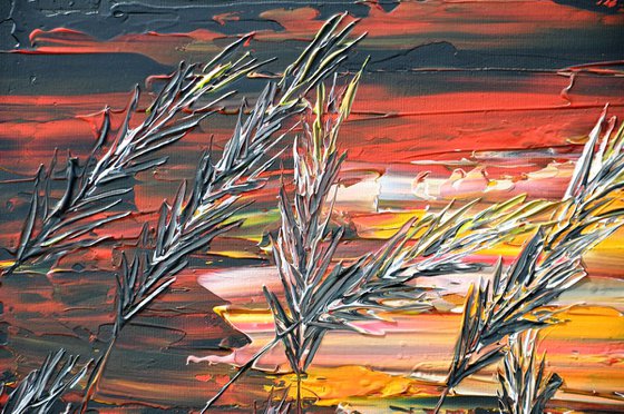 Red Sunset In The Grass