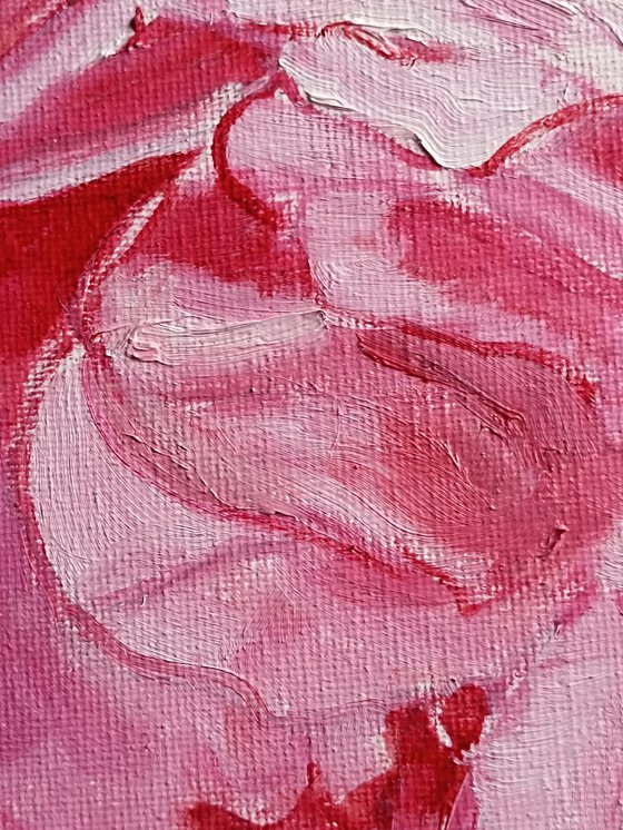 Pink roses