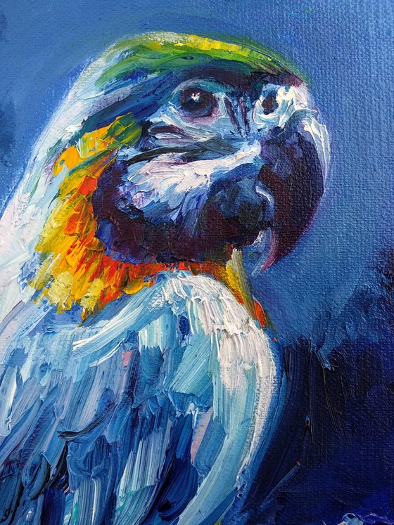Parrot Bird Art Nature Blue painting Night time Wildlife
