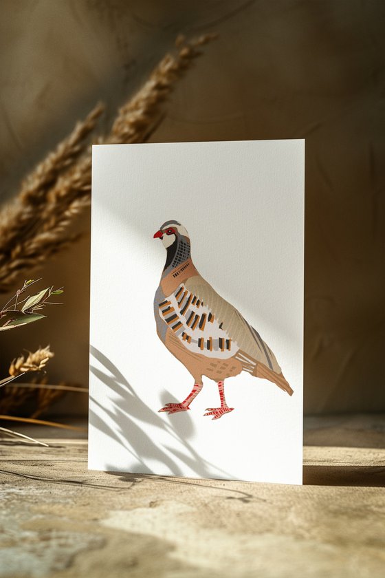 A FRENCH PARTRIDGE BIRD