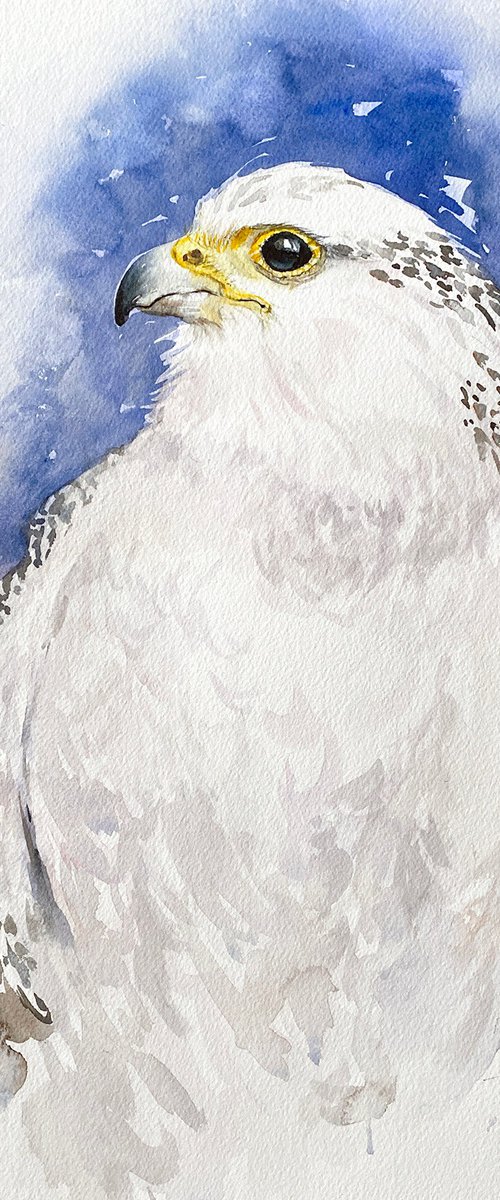 White Falcon by Arti Chauhan