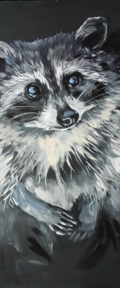 Shy raccoon by Valeriia Radziievska