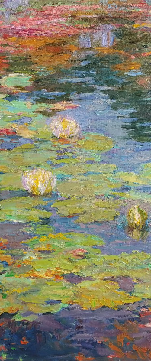 White water lilies. Summer by Svitlana Koval