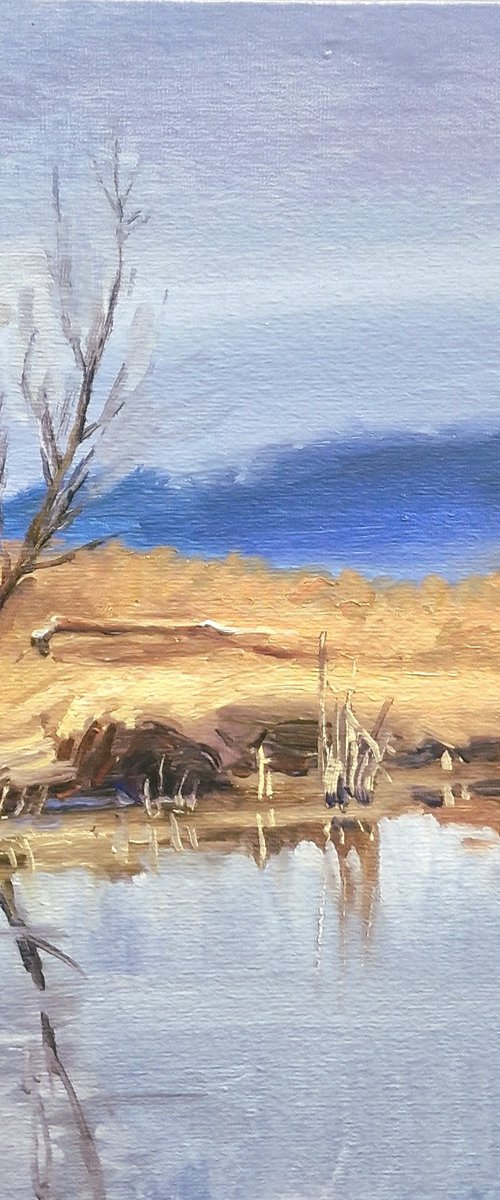 Still Water by Dita Galas