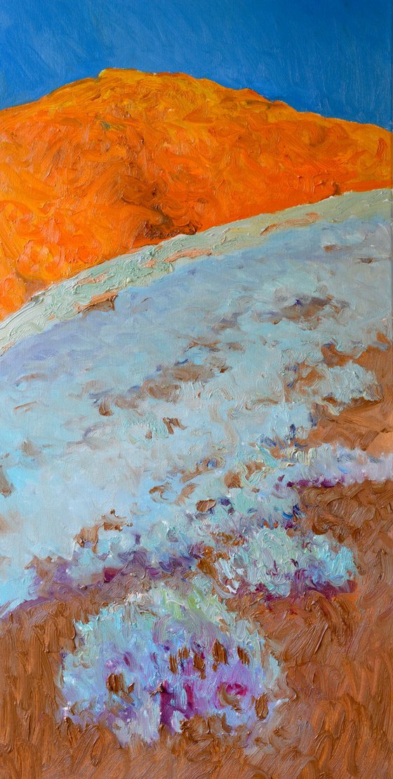 The Hill. Desert Landscape