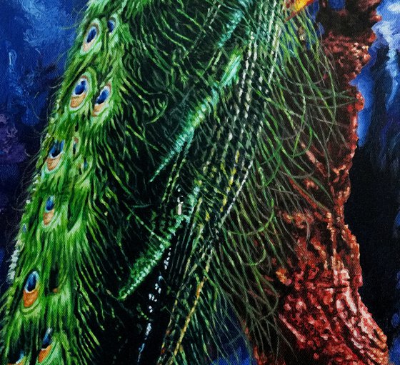 Peacock
