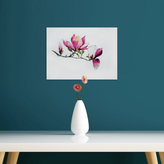 Magnolia flower