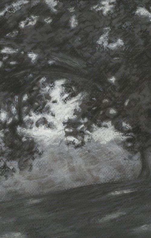 Old Oak Tree, Kent County Michigan – charcoal drawing by John Fleck