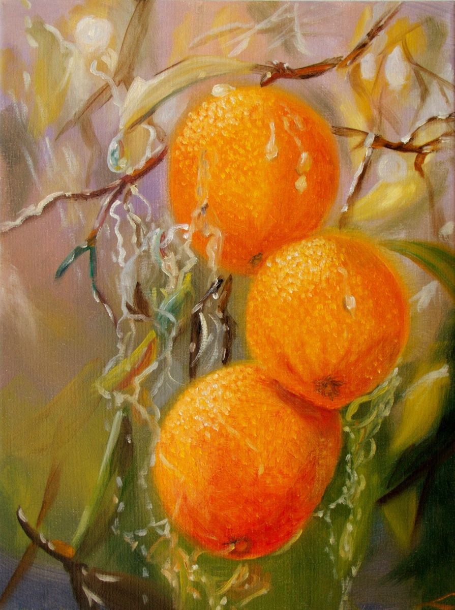 Impressionistic Botanical Oil Painting By Elena Sokolova, 12 X 16, Oranges, Original Artwork