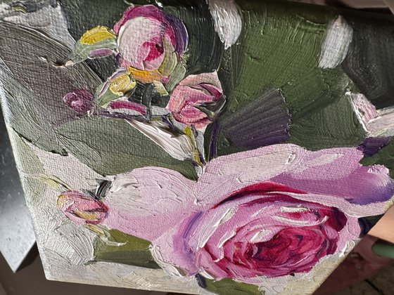 Tender Rose