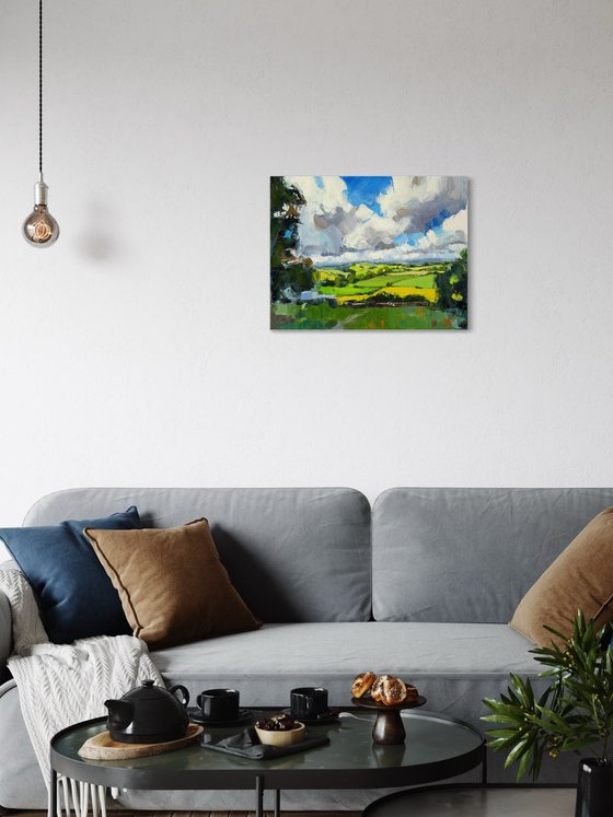 Fields Under Flying Clouds