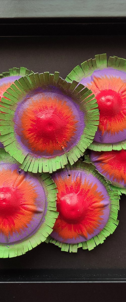 Zoanthids colony-3 by Swapna Namboodiri