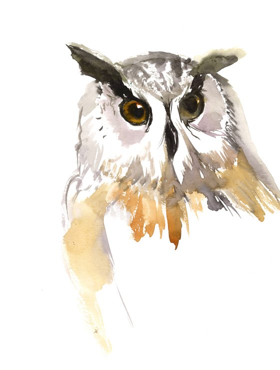 Owl