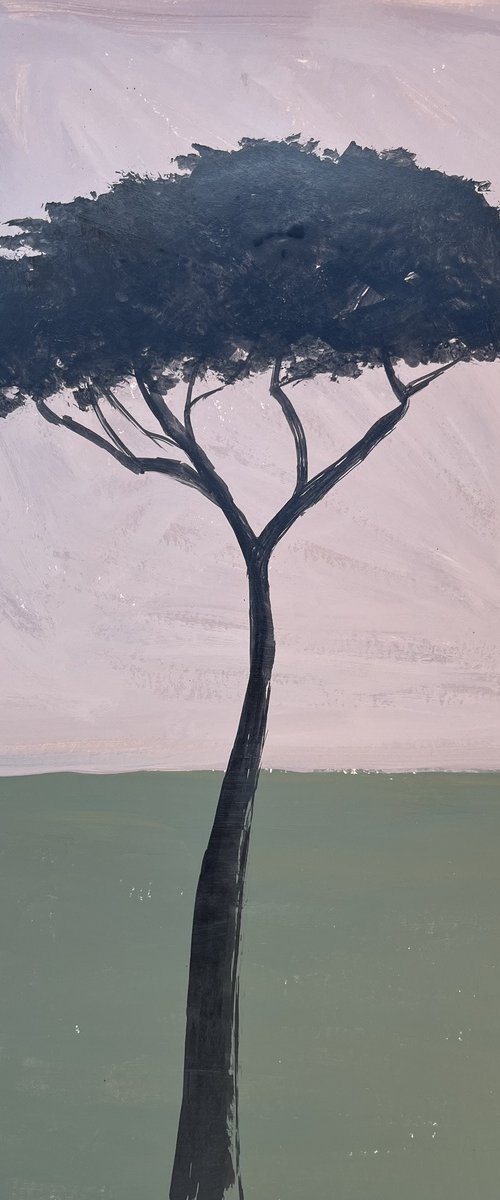 Pinetree by Cadiou Frederic
