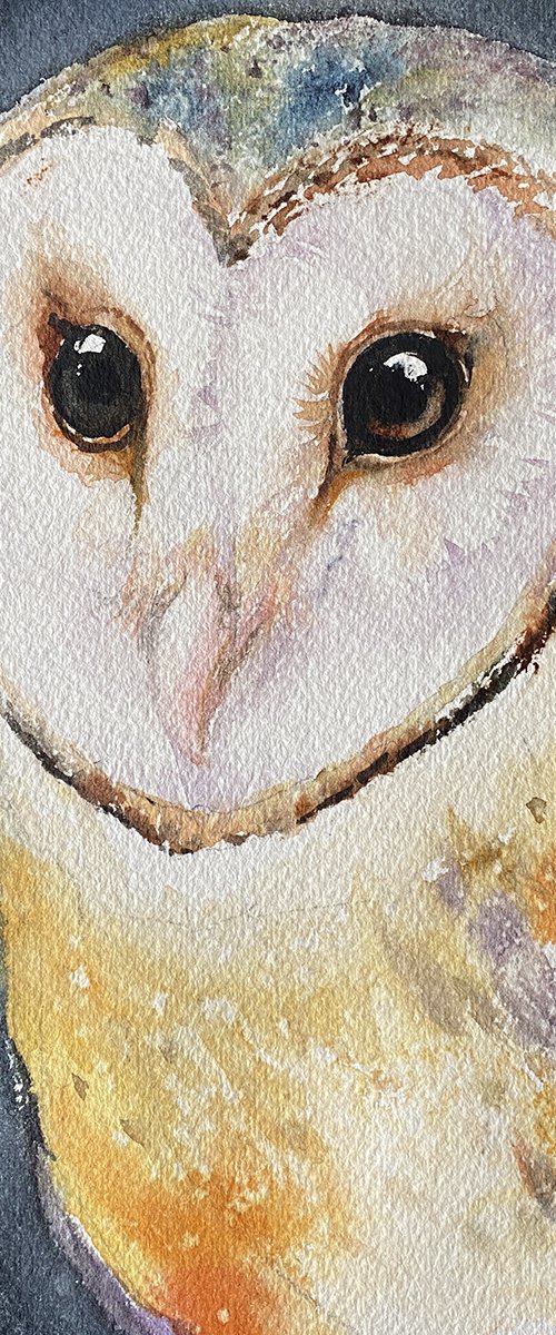 Barn Owl Oda by Arti Chauhan