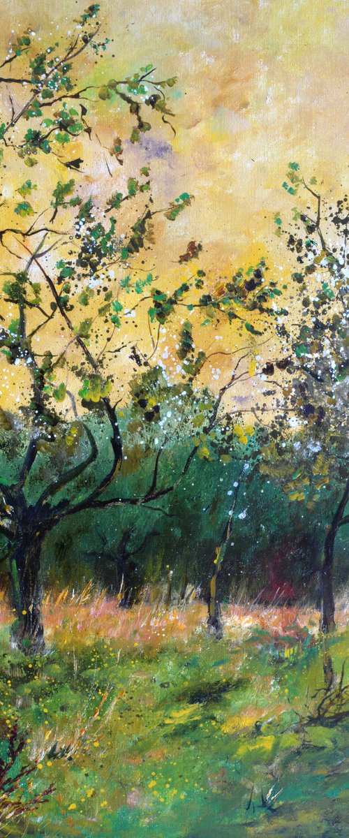 Orchard in spring by Pol Henry Ledent