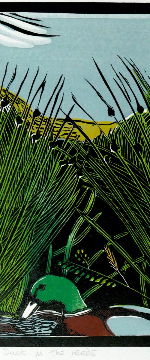 Duck in the Reeds by Keith Alexander