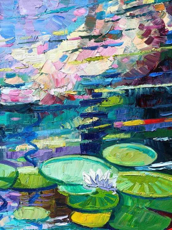 Water lilies reflections 5