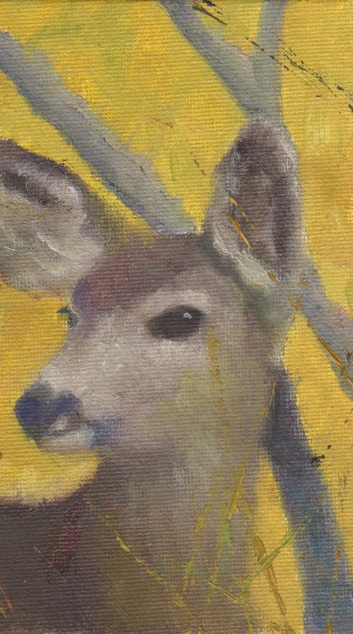 Hiding in Plain Sight by Elizabeth B. Tucker
