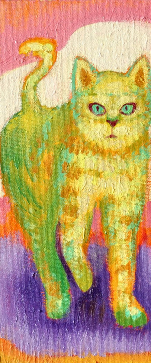 Cat by Taco Eisma