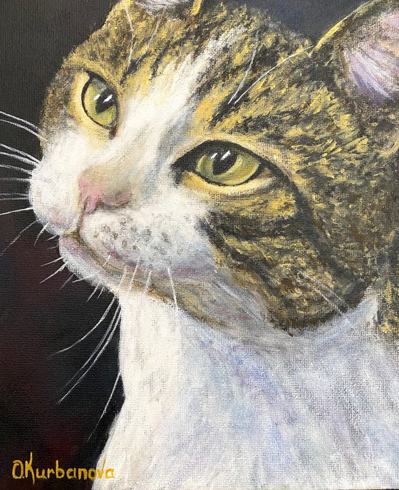 Soulful eyes