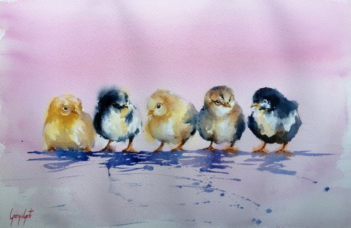 chicks by Giorgio Gosti