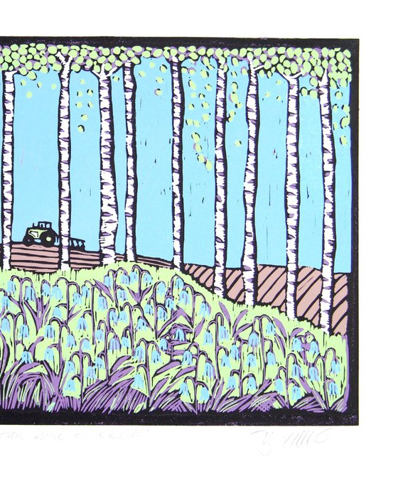 Hare and Bluebells