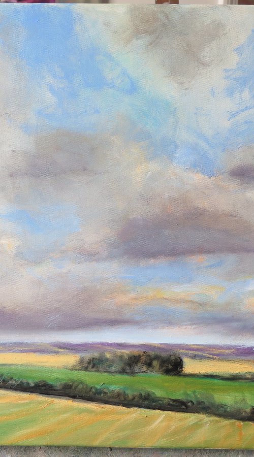 Evening Clouds, Feb 24 by Malcolm Ludvigsen