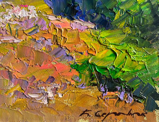 In a Summer Flower Meadow