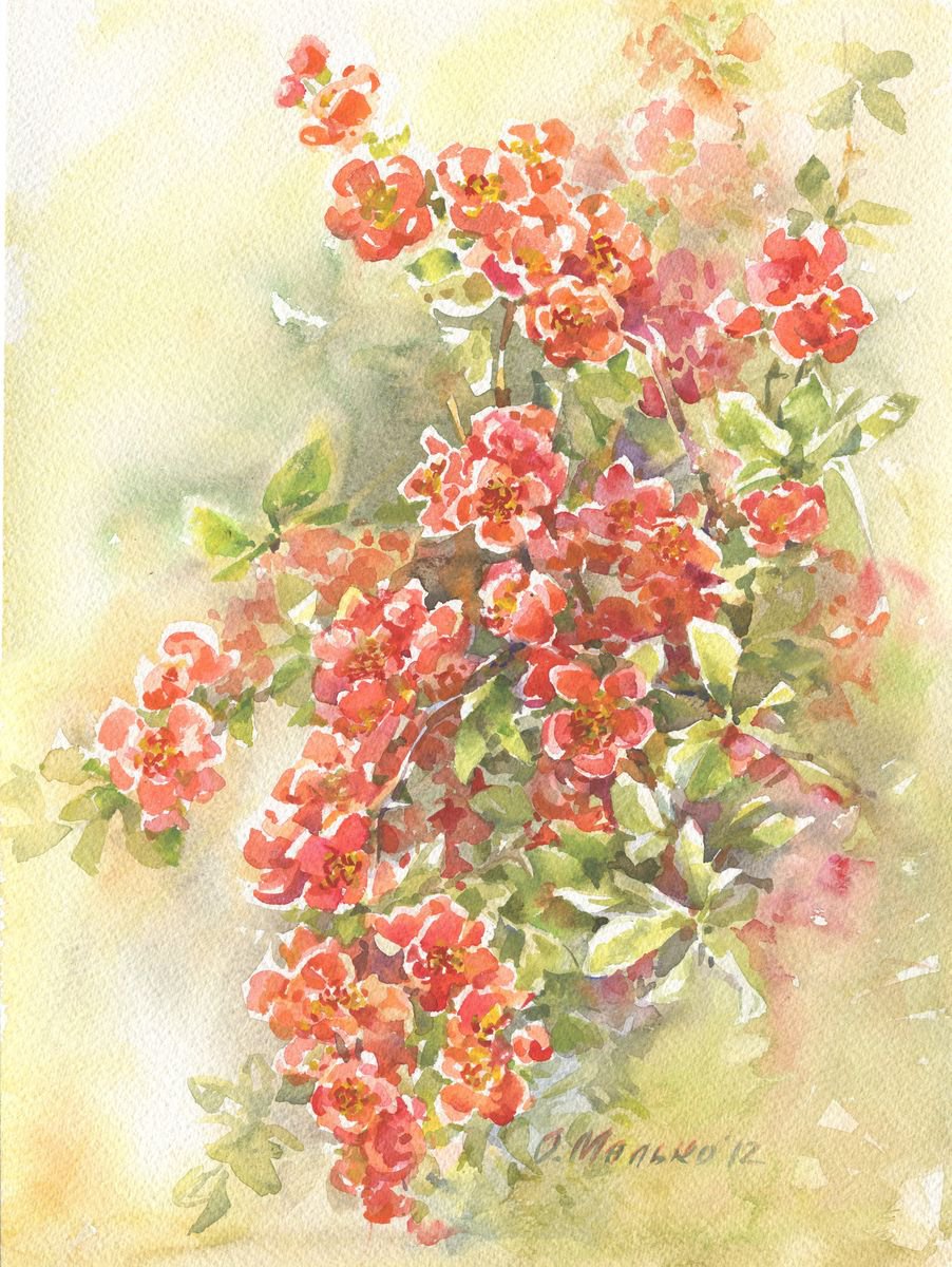 Red blooming branches / Spring blossom Flowering Quince Floral watercolor by Olha Malko