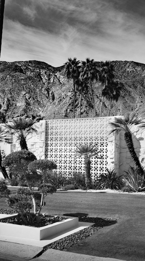 MORSE RESIDENCE - Palm Springs by Harv Greenberg