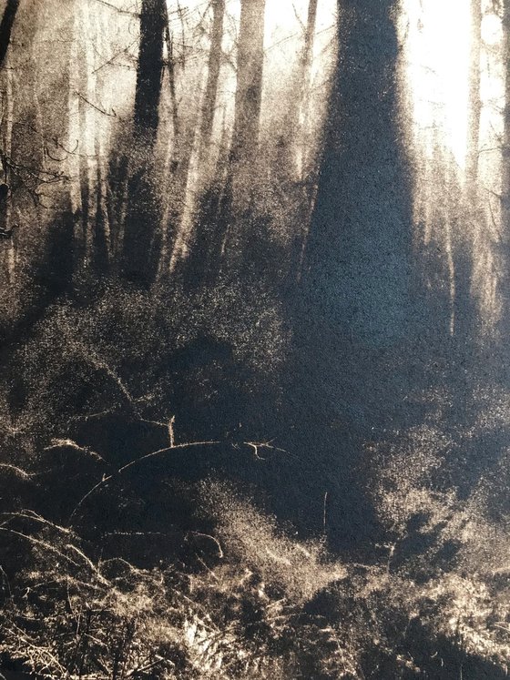 The Waking Woods